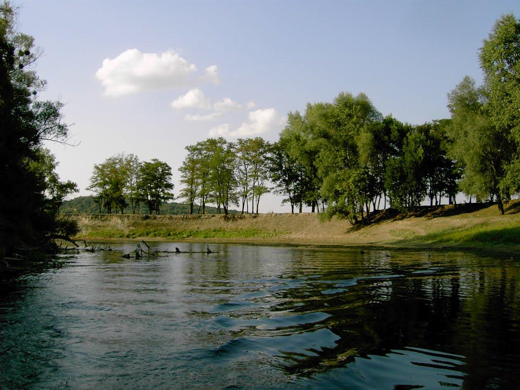 Савинці з panoramio.com - Savyntsi