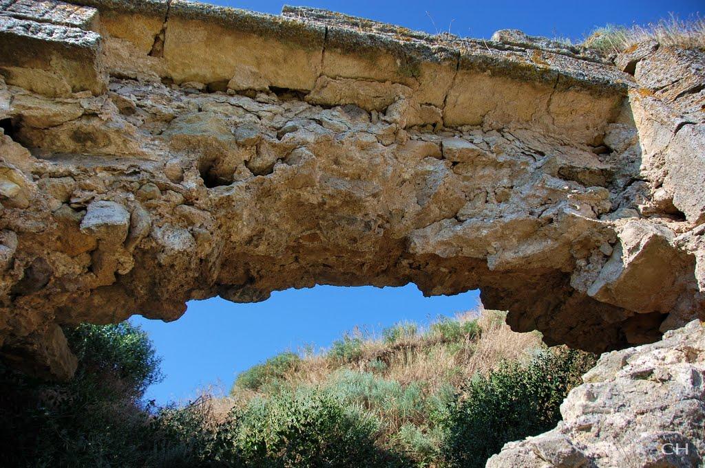 Львове з panoramio.com - Львове