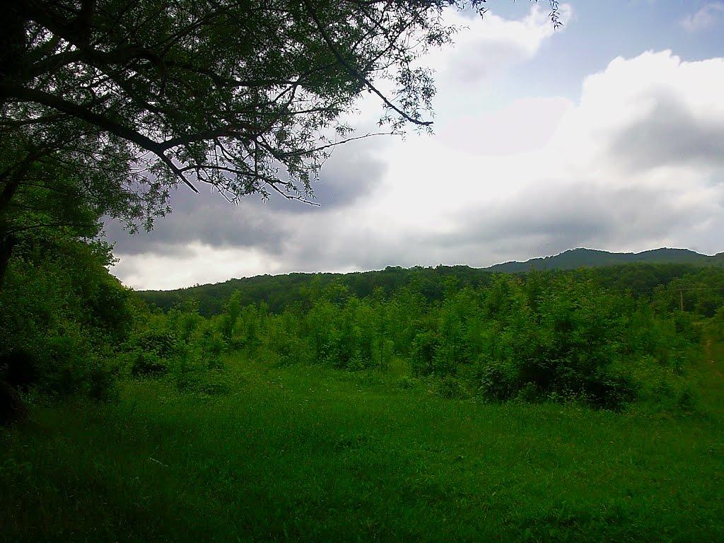 Краснолісся з panoramio.com - Краснолесье