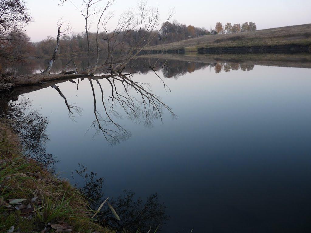 Скрипалі з panoramio.com - Скрипалі