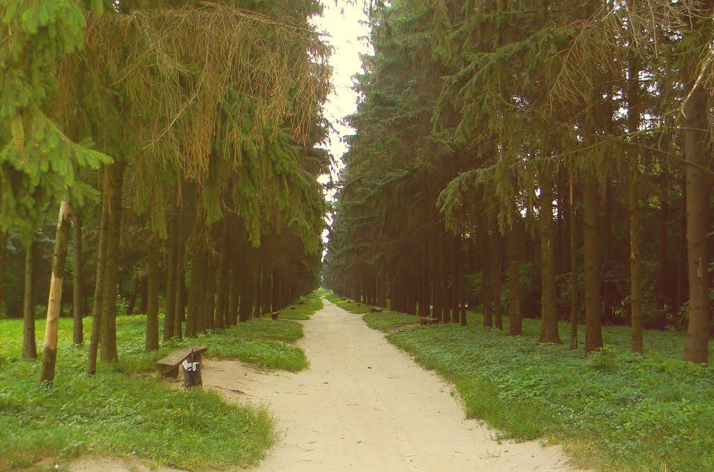 Краснокутськ з panoramio.com - Краснокутск
