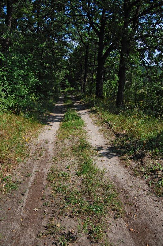Суха Гомільша з panoramio.com - Сухая Гомольша