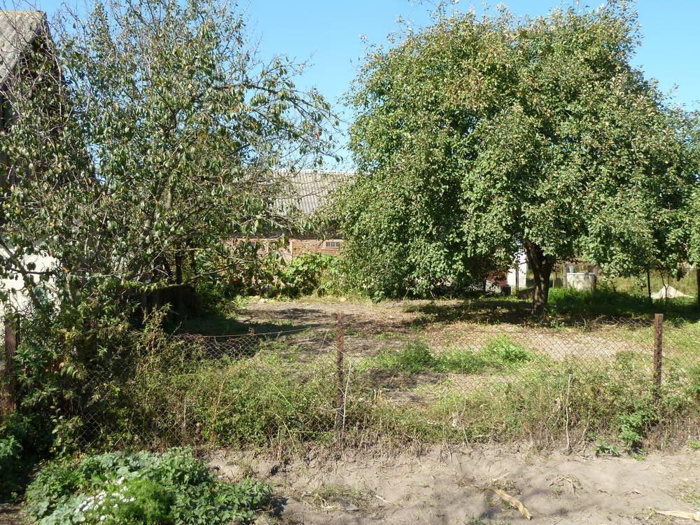 Семенівка з panoramio.com - Семенівка