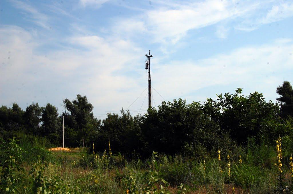 Кряківка з panoramio.com - Кряковка