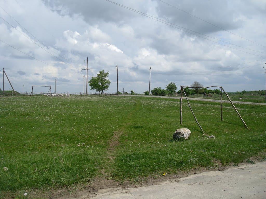 Ставчани з panoramio.com - Ставчаны