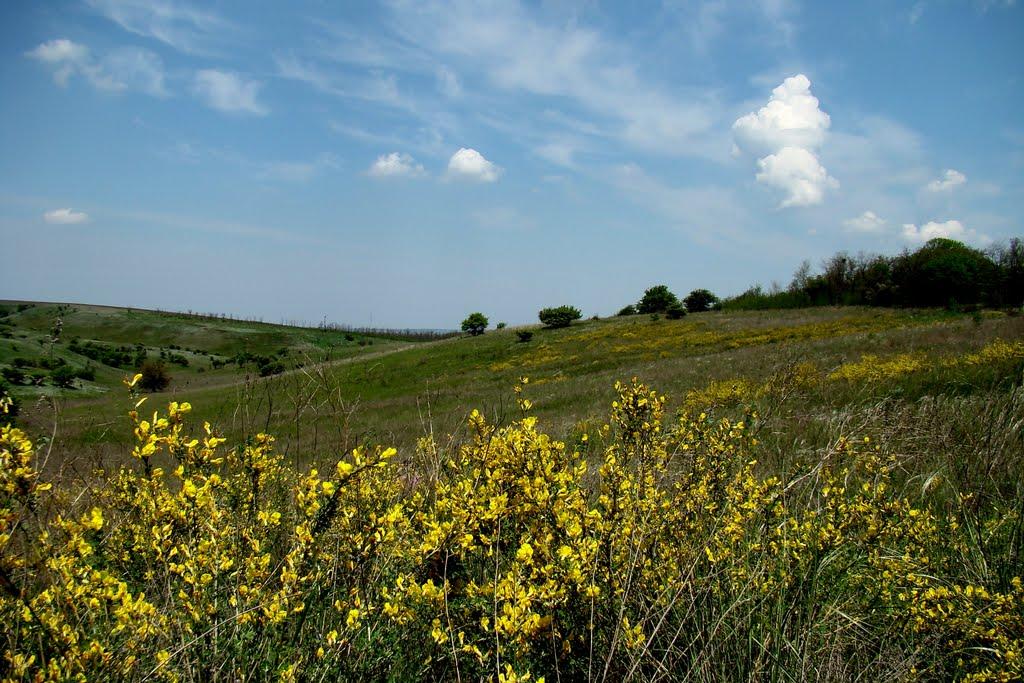 Привітне з panoramio.com - Привітне