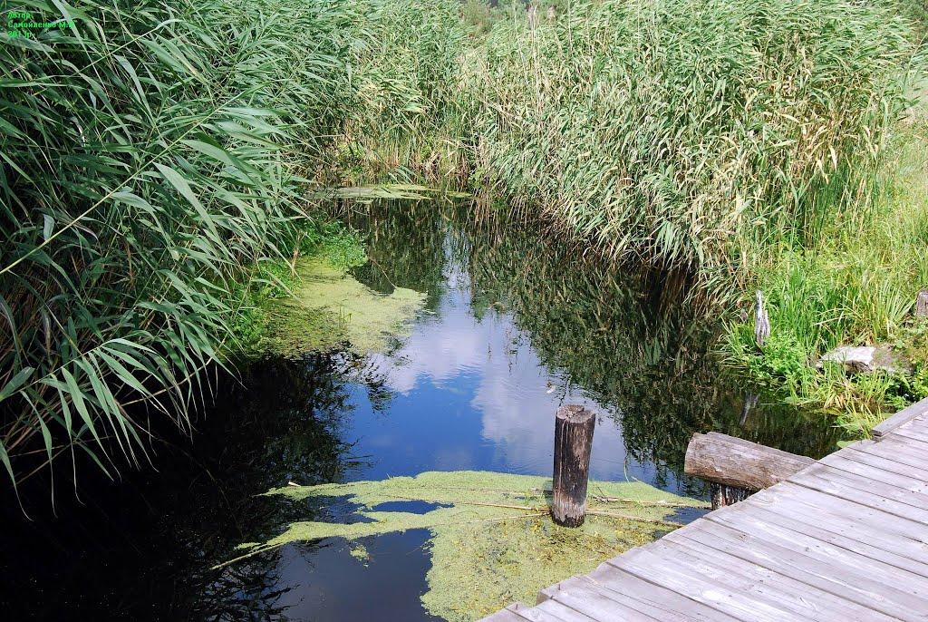 Васьки з panoramio.com - Васьки