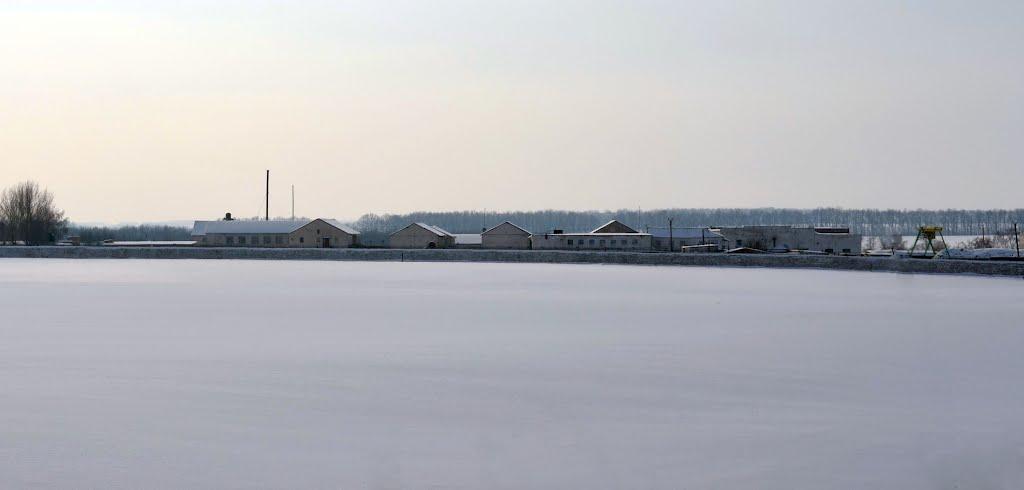 Старі Бабани з panoramio.com - Старі Бабани