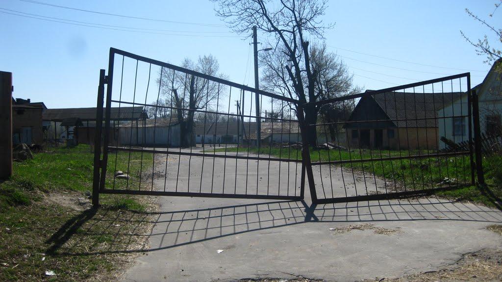 Ворошилівка з panoramio.com - Ворошиловка