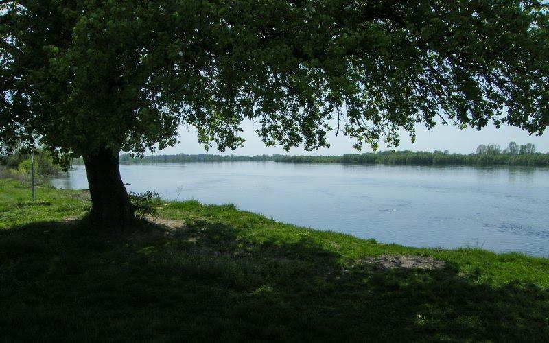Миси з panoramio.com - Mysy