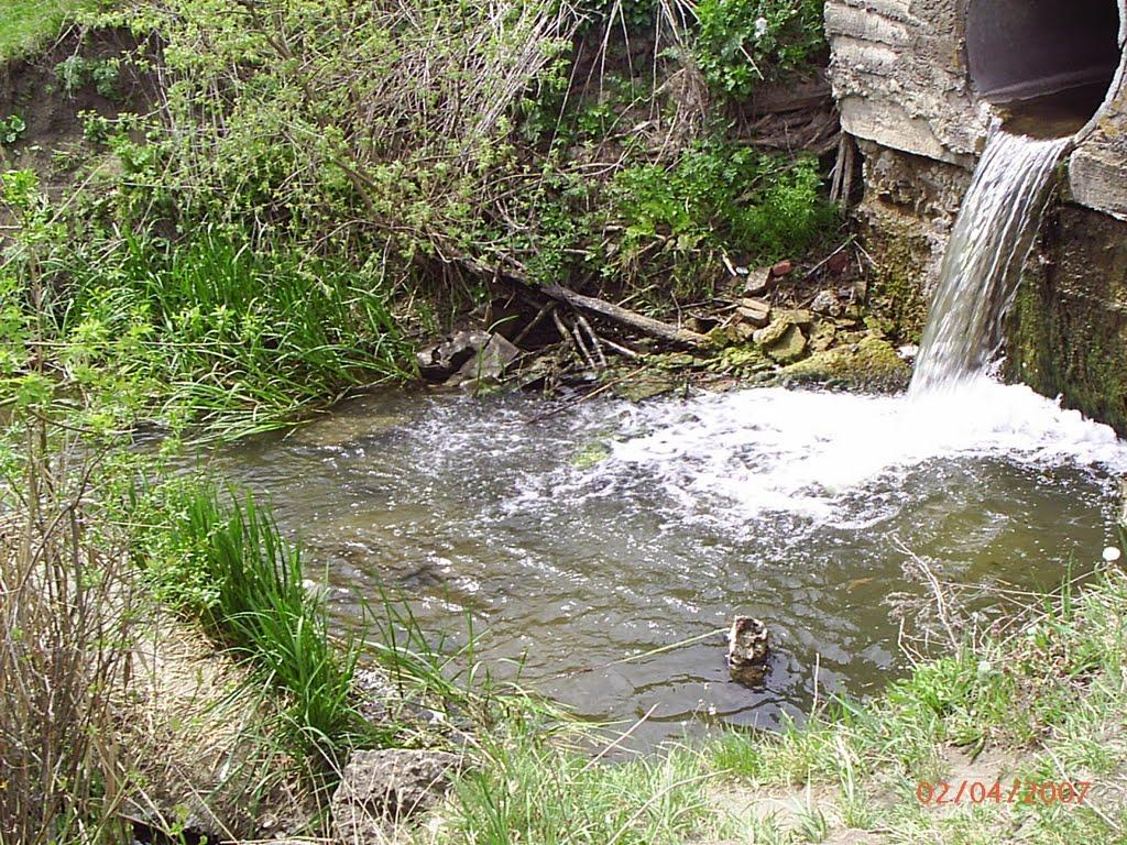 Пасицели з panoramio.com - Пасицели