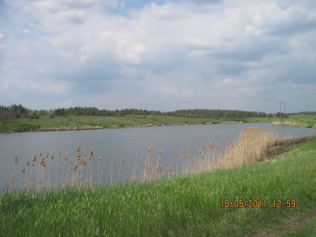 Бірюкове з panoramio.com