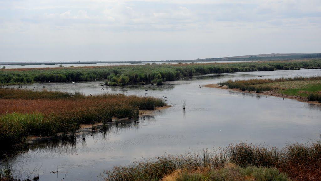 Давидівка з panoramio.com - Давидівка