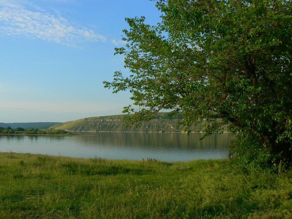 Вітрянка з panoramio.com - Ветрянка