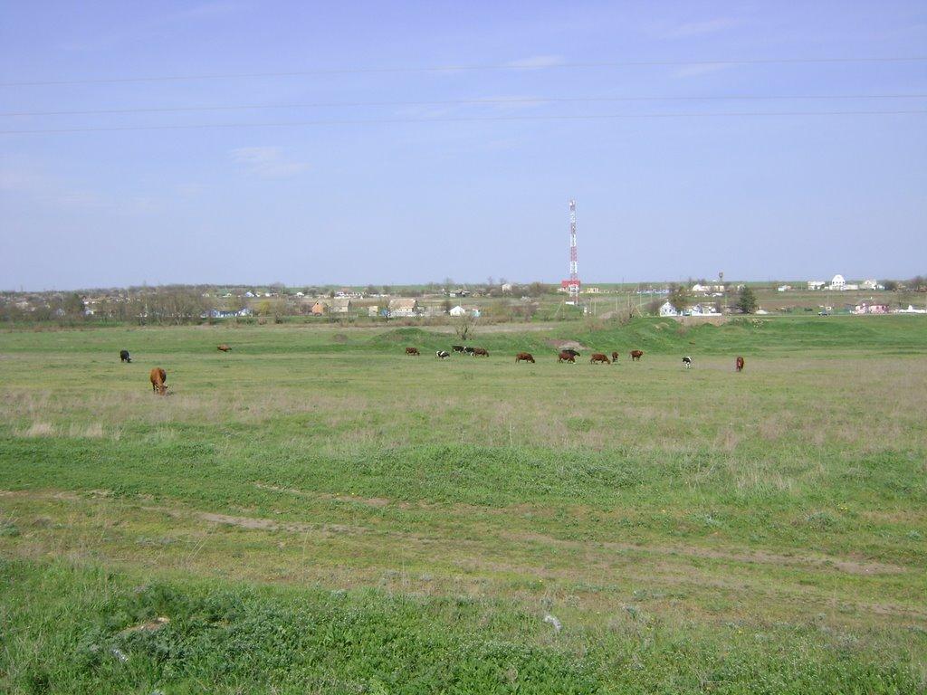 Глибоке з panoramio.com - Глибоке