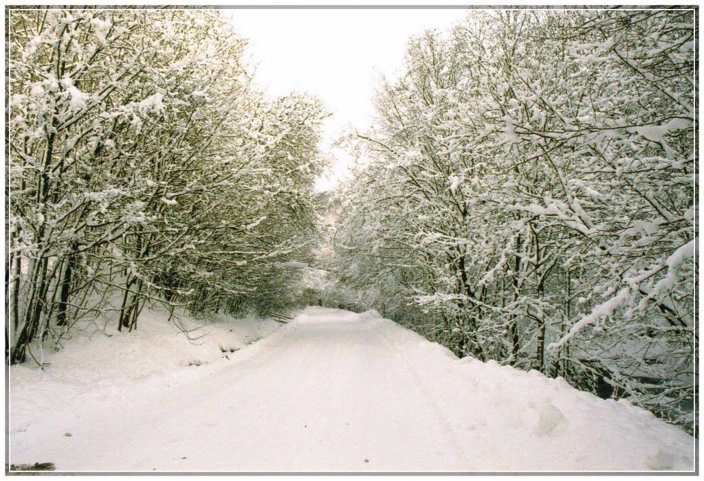 Стричава з panoramio.com - Стричава