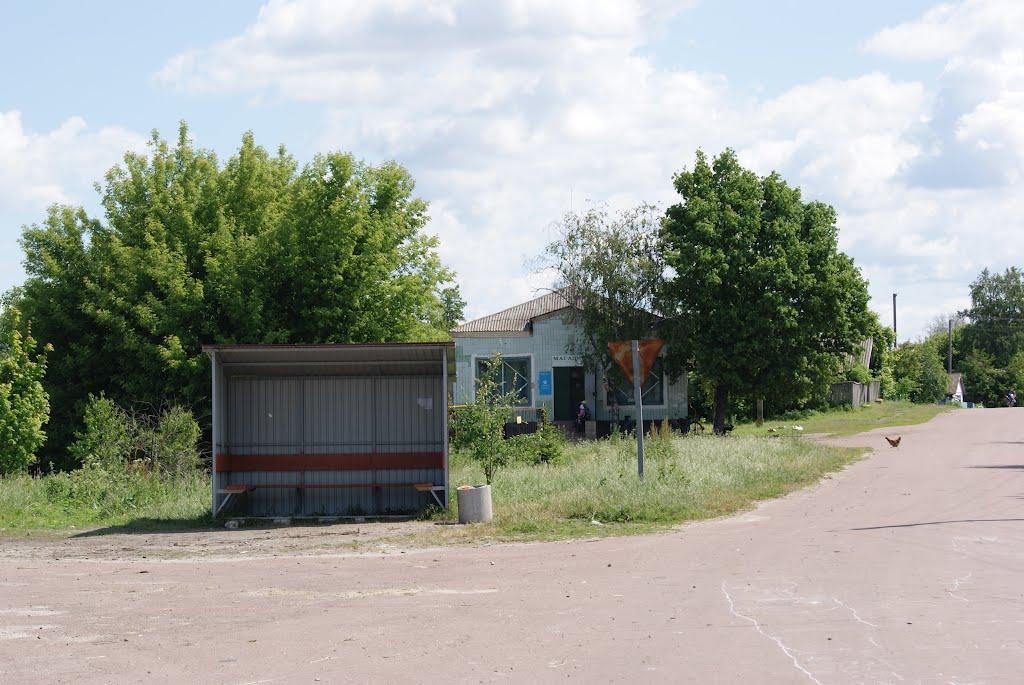 Смолянка з panoramio.com - Смолянка