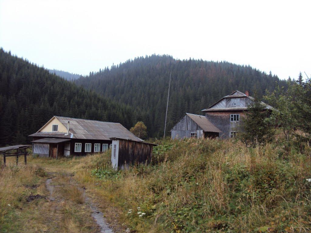 Голошина з panoramio.com - Голошина