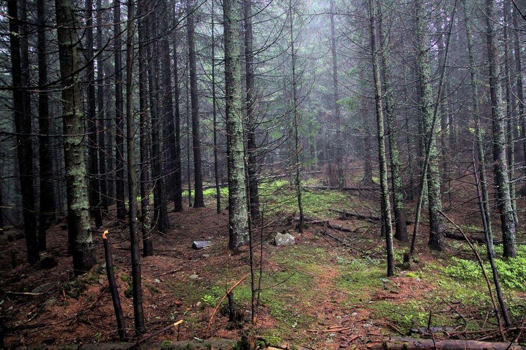 Долішній Шепіт з panoramio.com - Долишний Шепот