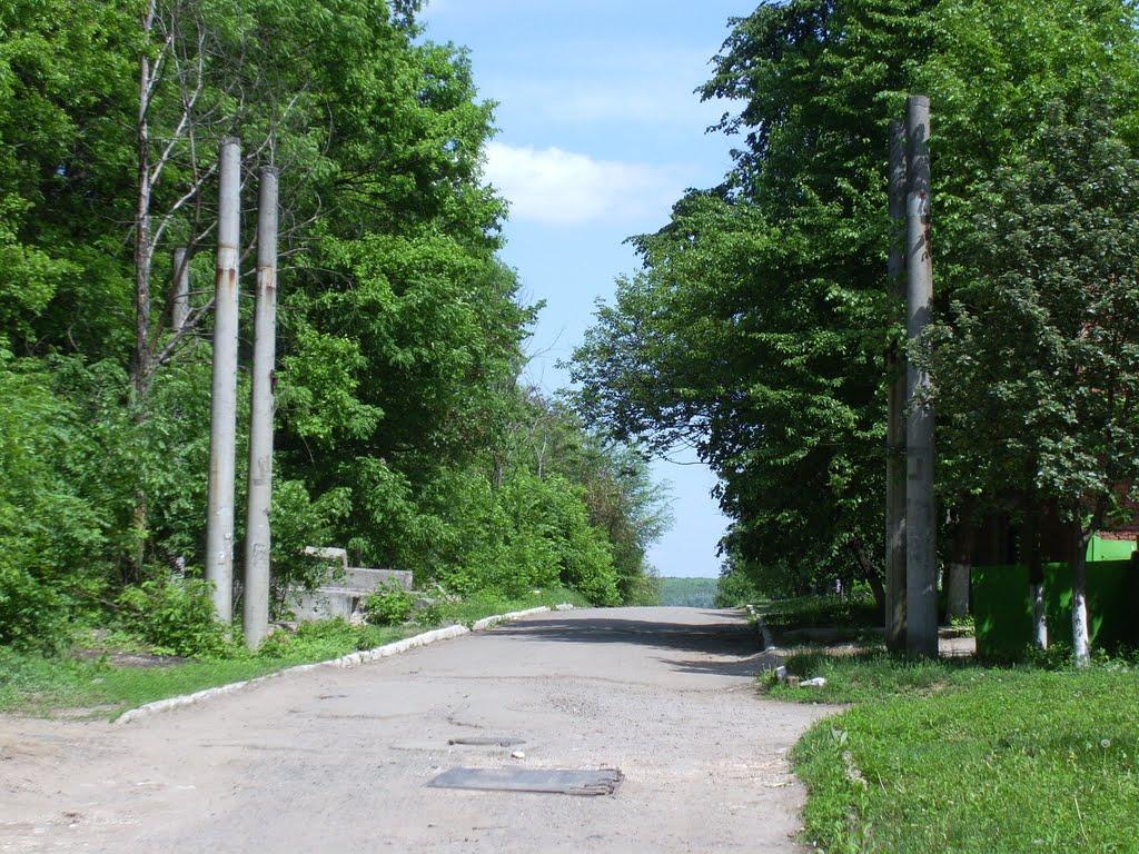 Сіряки з panoramio.com - Сіряки