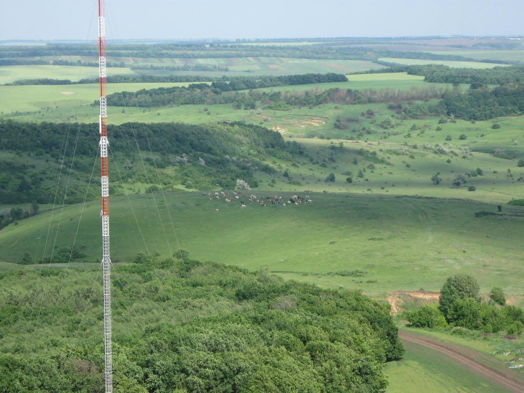 Шипувате з panoramio.com - Шипувате