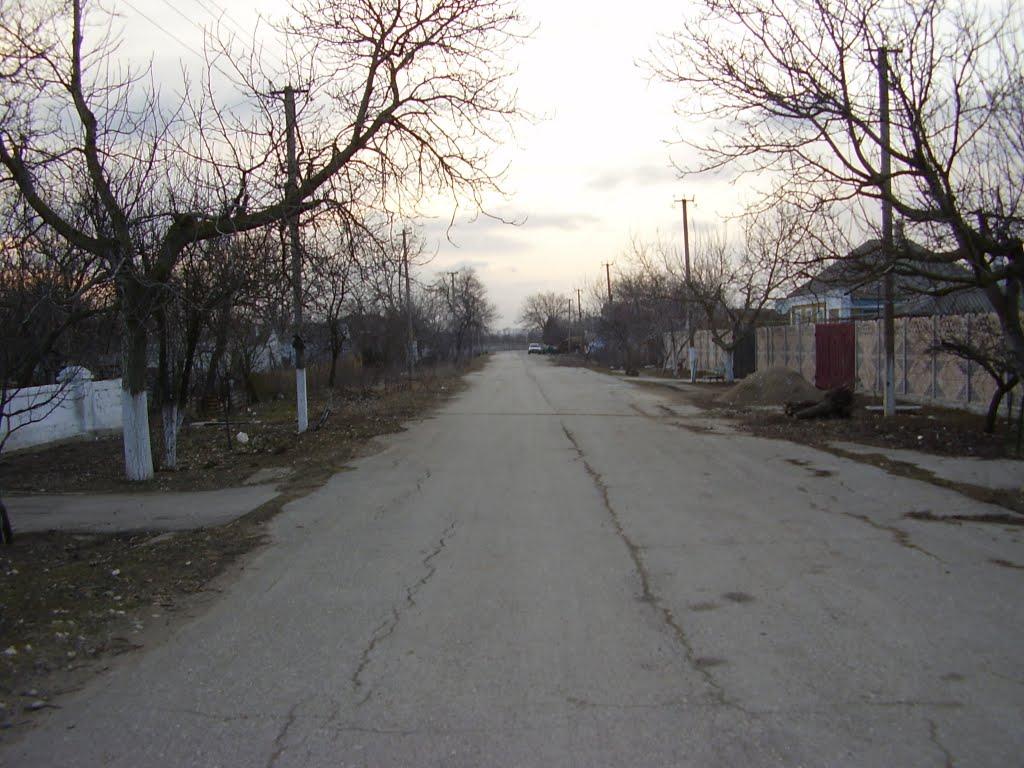 Октябрське з panoramio.com - Октябрське