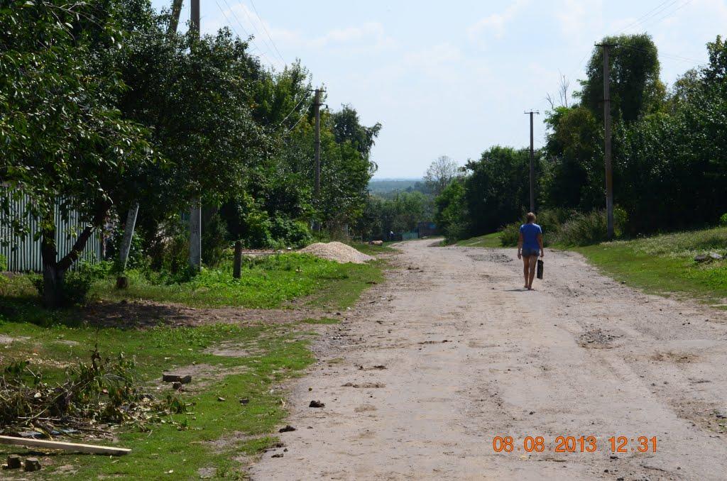 Нова Слобода з panoramio.com - Нова Слобода