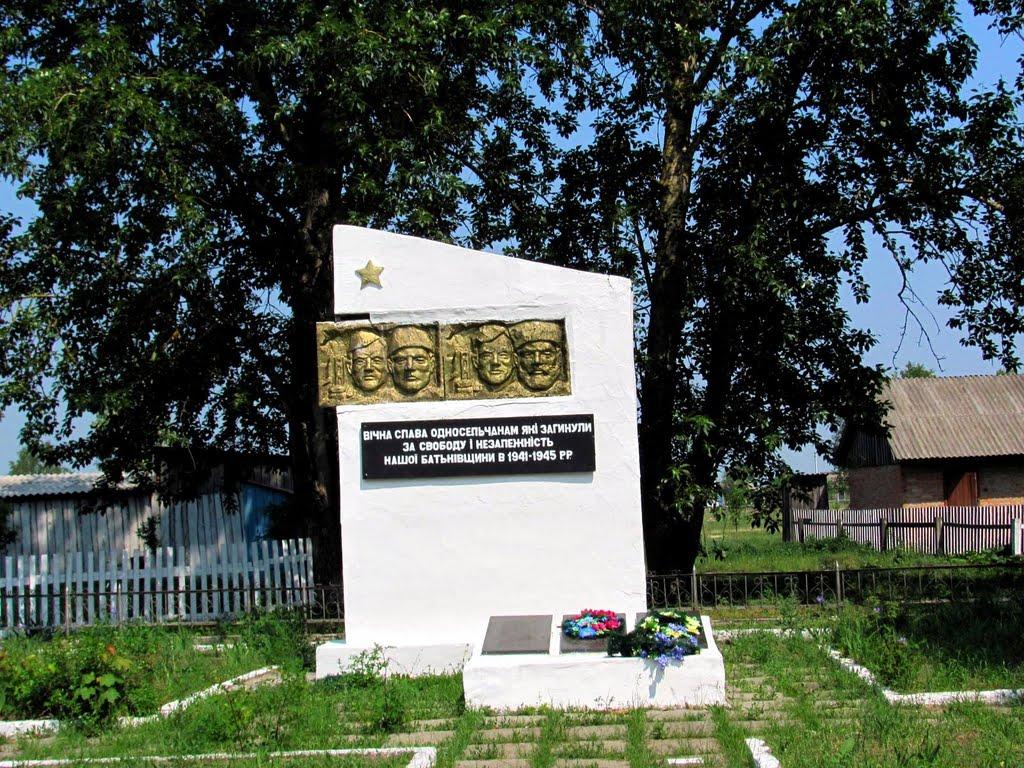 Сопачів з panoramio.com - Сопачів