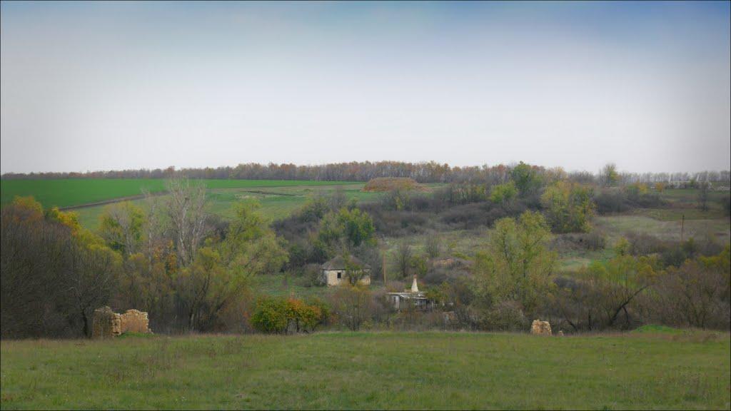 Михайлюки з panoramio.com - Михайлюки