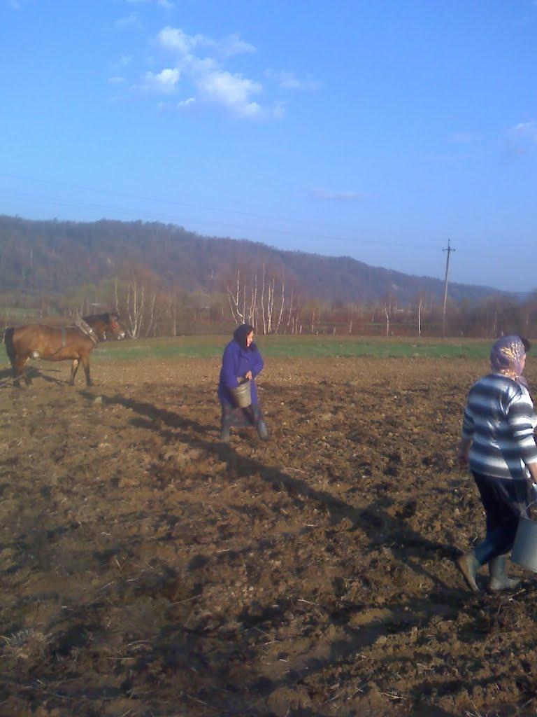 Княжолука з panoramio.com - Княжолука