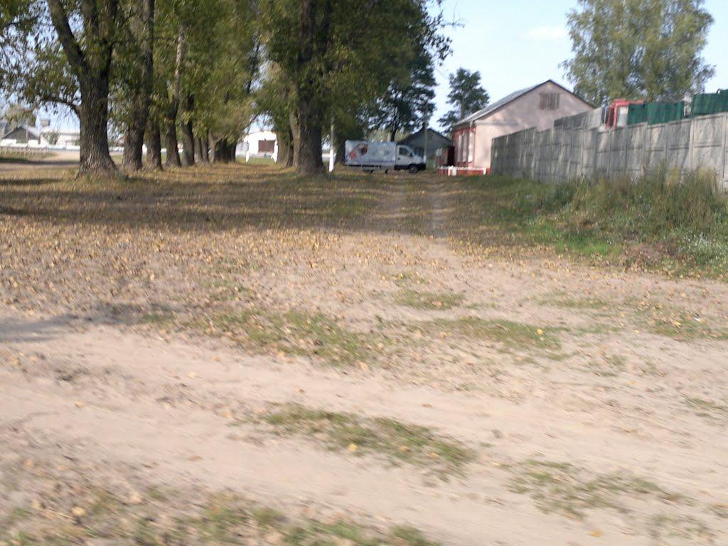 Сиделівка з panoramio.com - Сиделівка