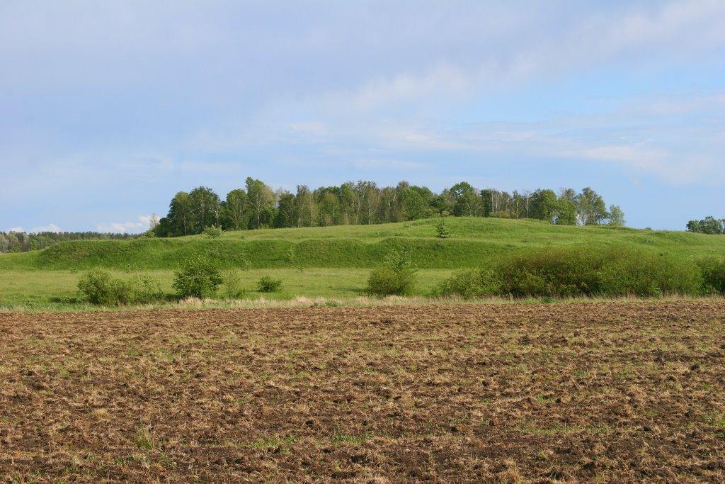 Браженка з panoramio.com - Браженка