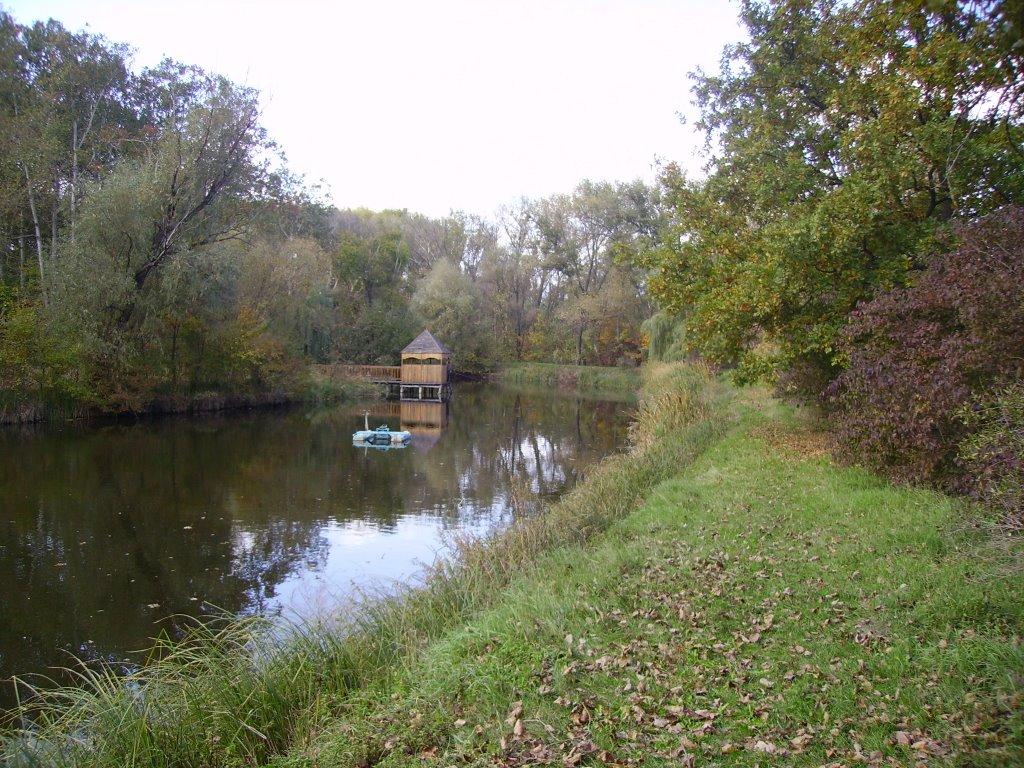 Шевченкове з panoramio.com