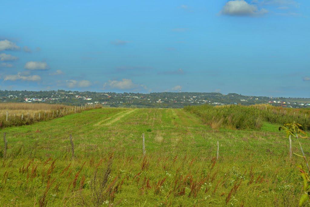 Зарожани з panoramio.com - Зарожани