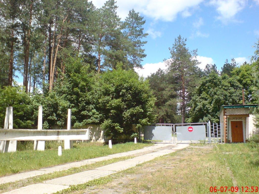 Кушкине з panoramio.com - Кушкино