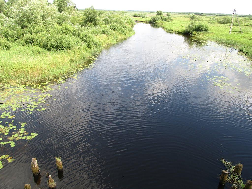 Щедрогір з panoramio.com - Щедрогір