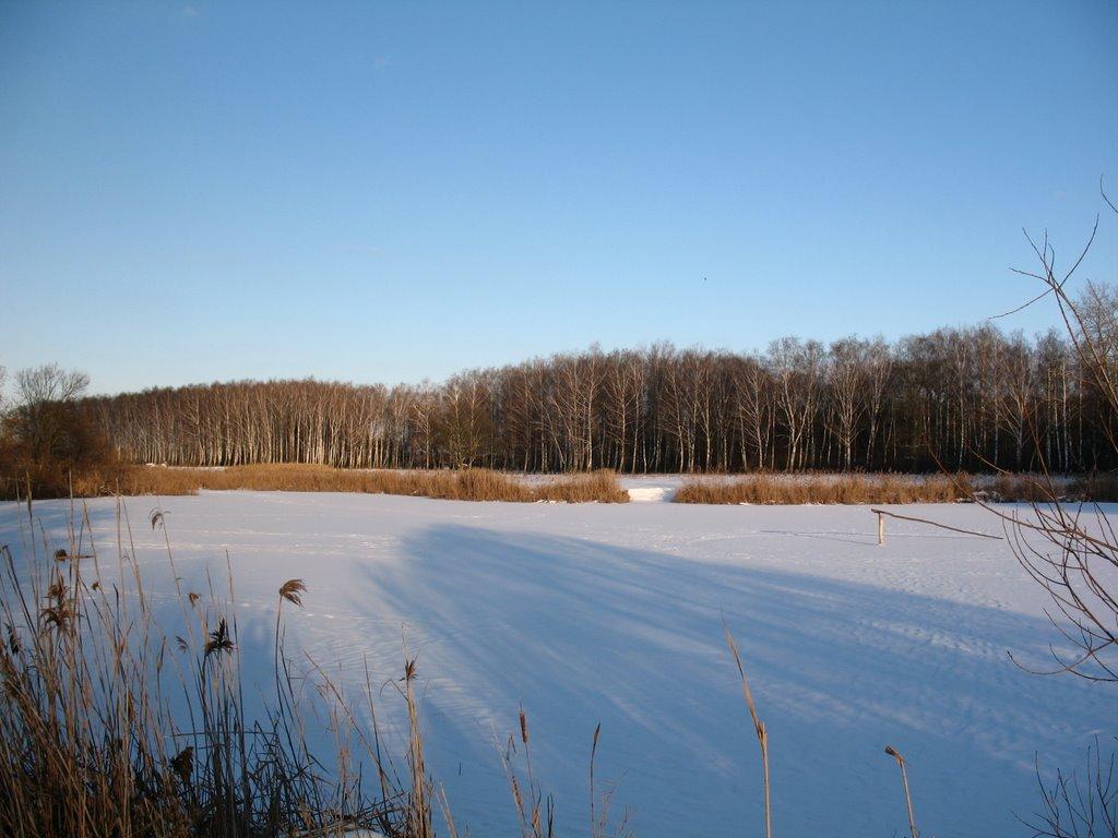 Малківка з panoramio.com - Malkivka