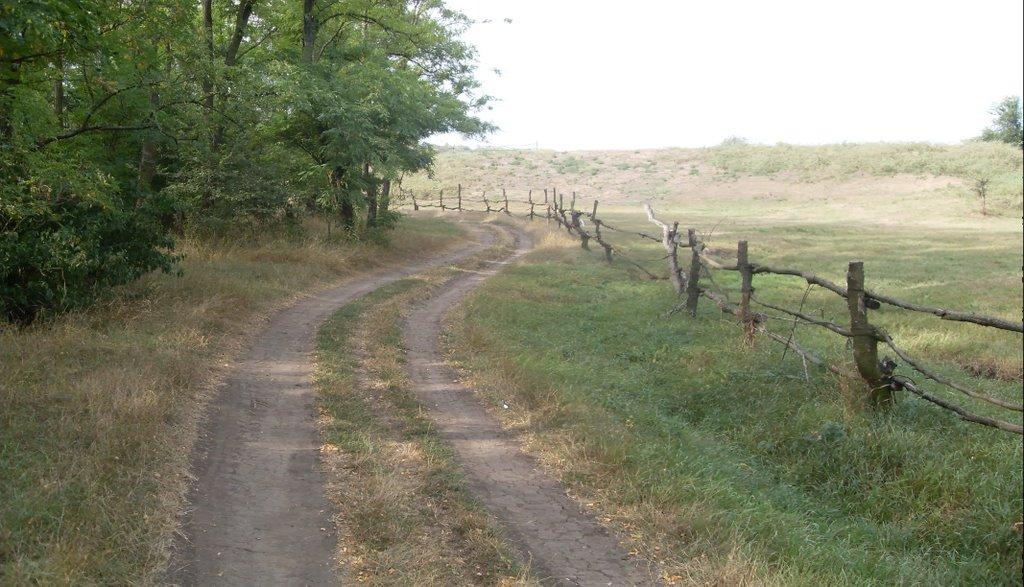 Доманівка з panoramio.com - Доманевка