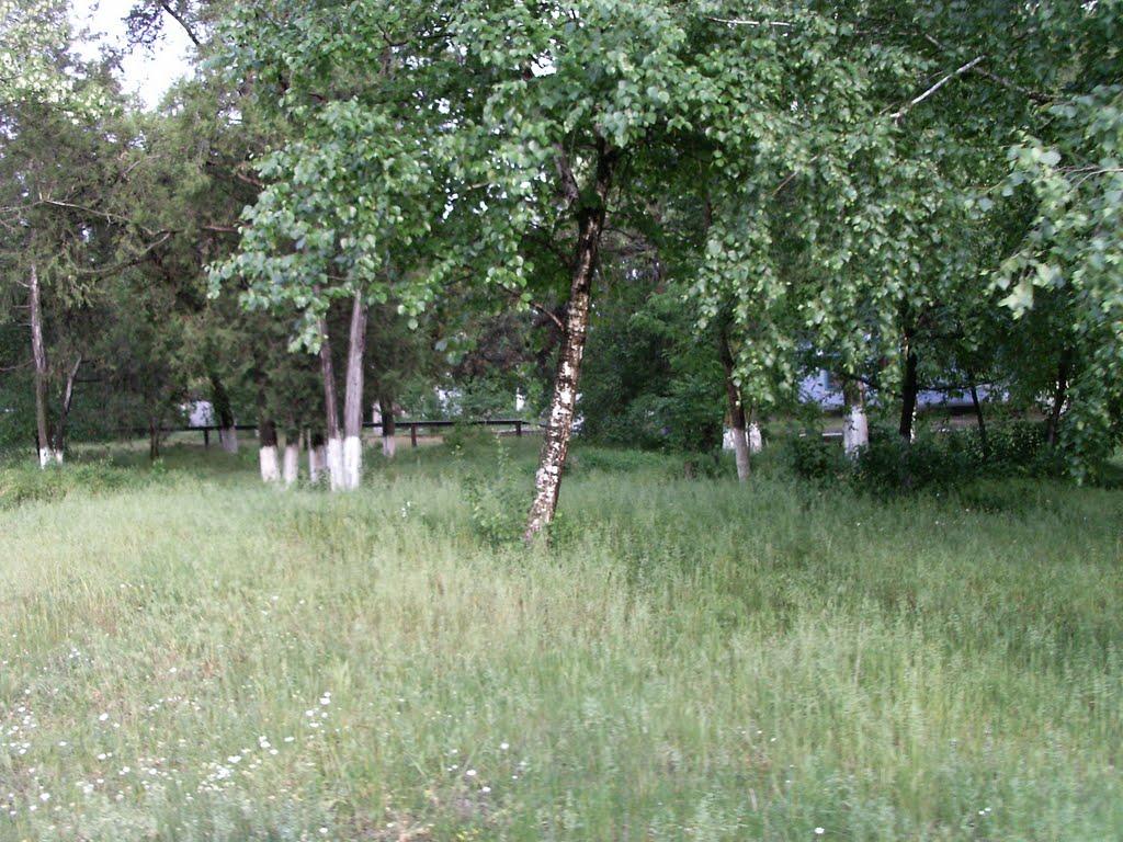 Вознесенськ з panoramio.com - Вознесенськ