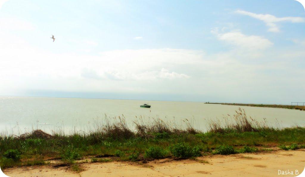 Лиман з panoramio.com - Лиман