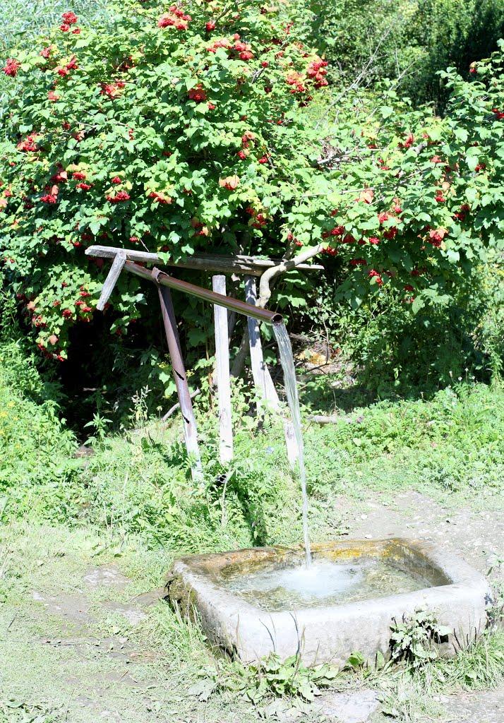 Черче з panoramio.com - Черче