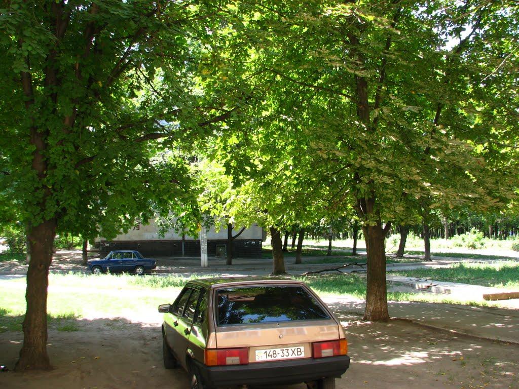 Логачівка з panoramio.com - Logachivka
