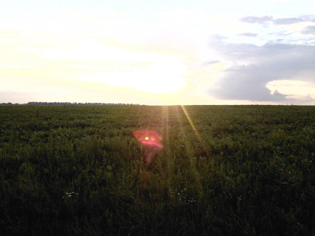 Базалія з panoramio.com - Базалія