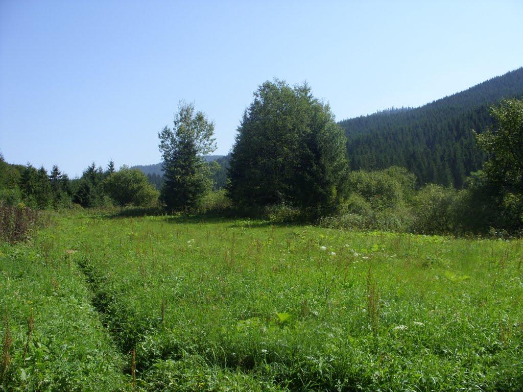 Фальків з panoramio.com (ч.2) - Фальків