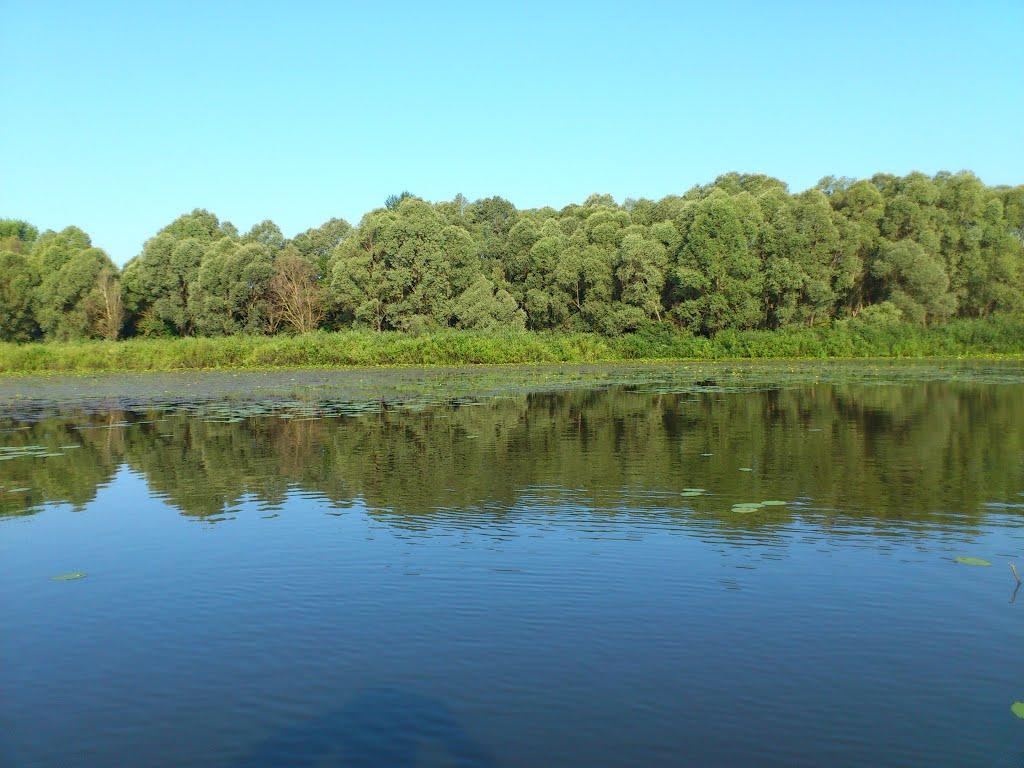 Миси з panoramio.com - Миси