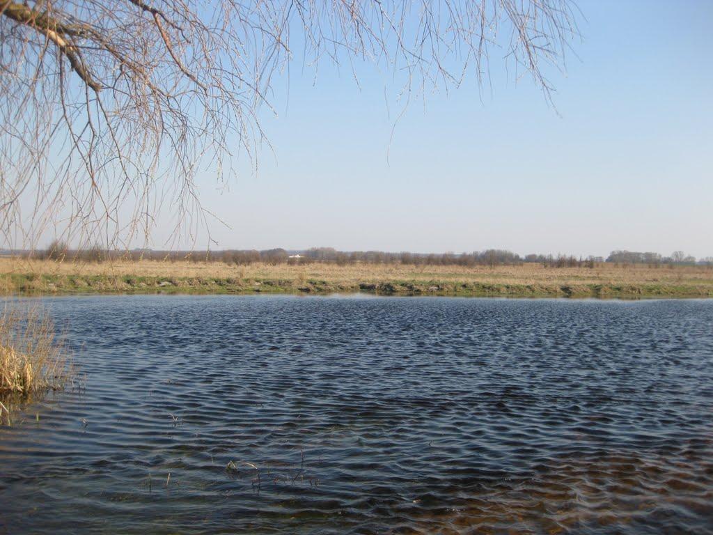 Михнівка з panoramio.com - Михновка