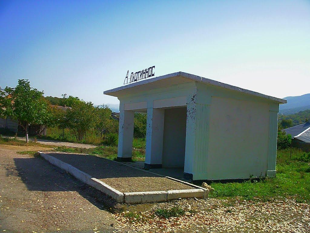 Плотинне з panoramio.com - Плотинное