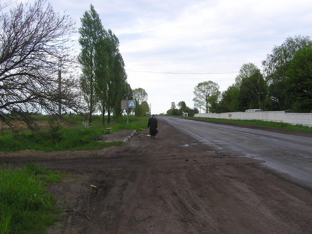 Мовчанів з panoramio.com - Мовчанів