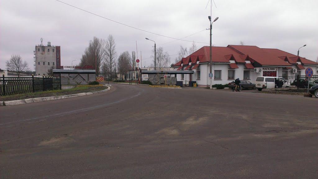 Сиделівка з panoramio.com - Сиделівка