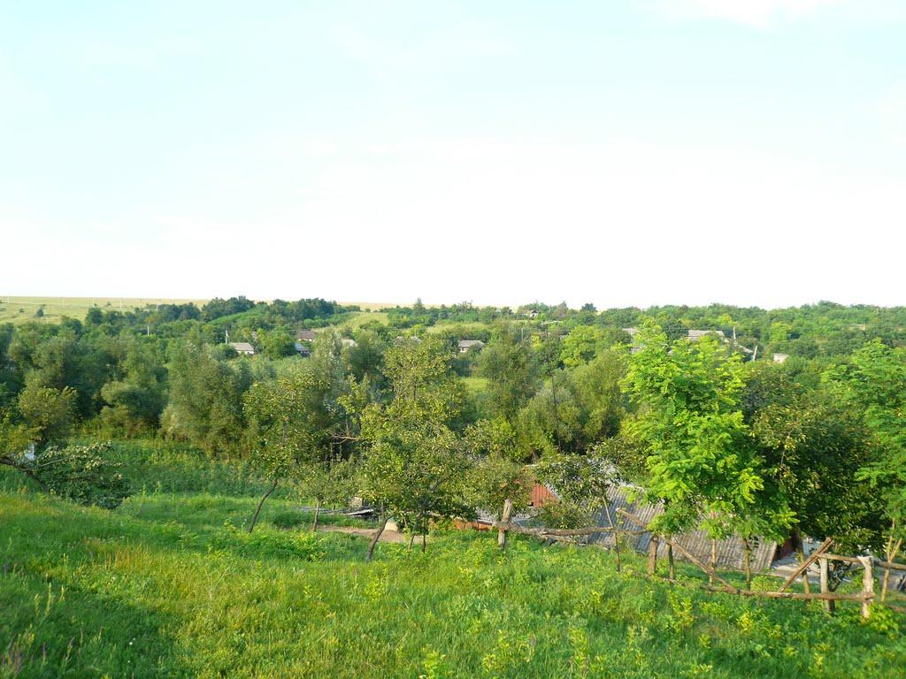 Пасат з panoramio.com - Пасат